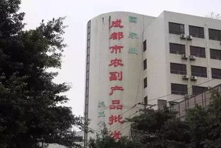 城市變遷的見證 五塊石客運(yùn)站再會(huì)，班線調(diào)遷與商品批發(fā)貿(mào)易新篇章